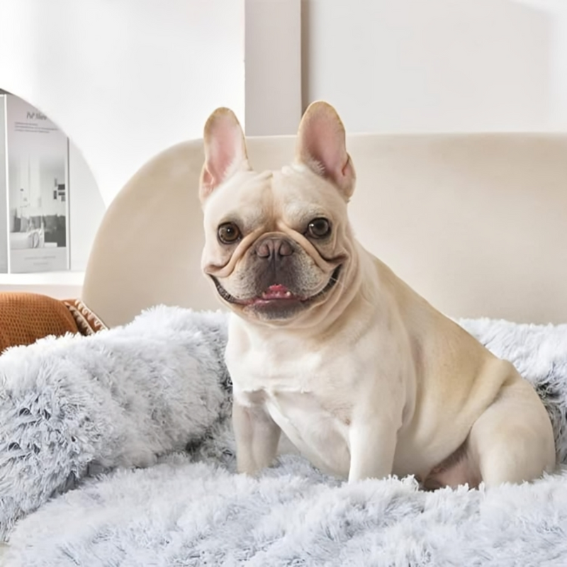 Durable Couch Pet Bed