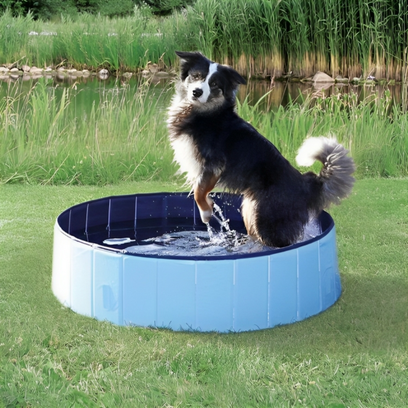 Portable Dog Pool