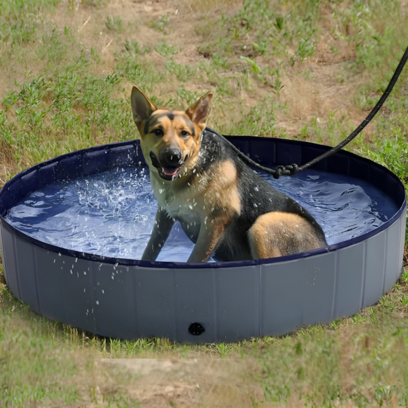 Portable Dog Pool