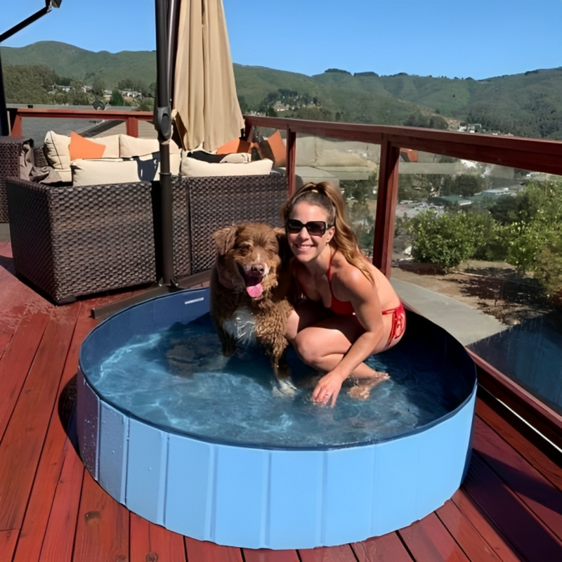 Portable Dog Pool