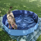 Portable Dog Pool