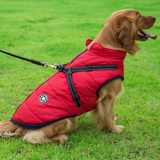 Waterproof Dog Jacket (With Built In Harness)