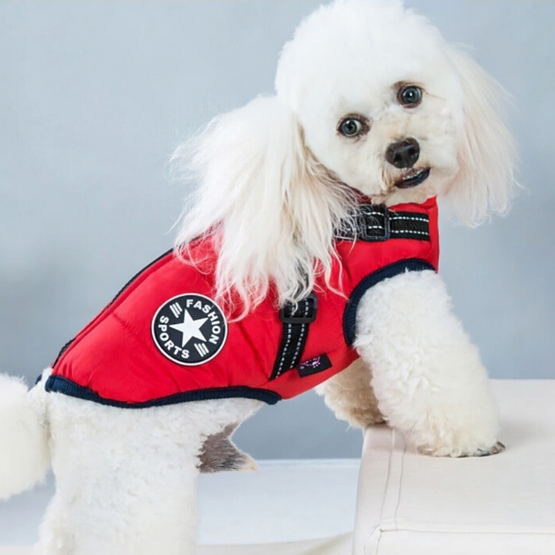 Waterproof Dog Jacket (With Built In Harness)