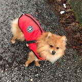 Waterproof Dog Jacket (With Built In Harness)